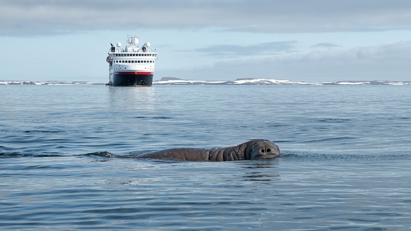 Tid for  forlate Svalbard